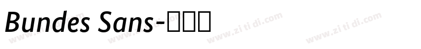 Bundes Sans字体转换 Bundes Sans字体转换